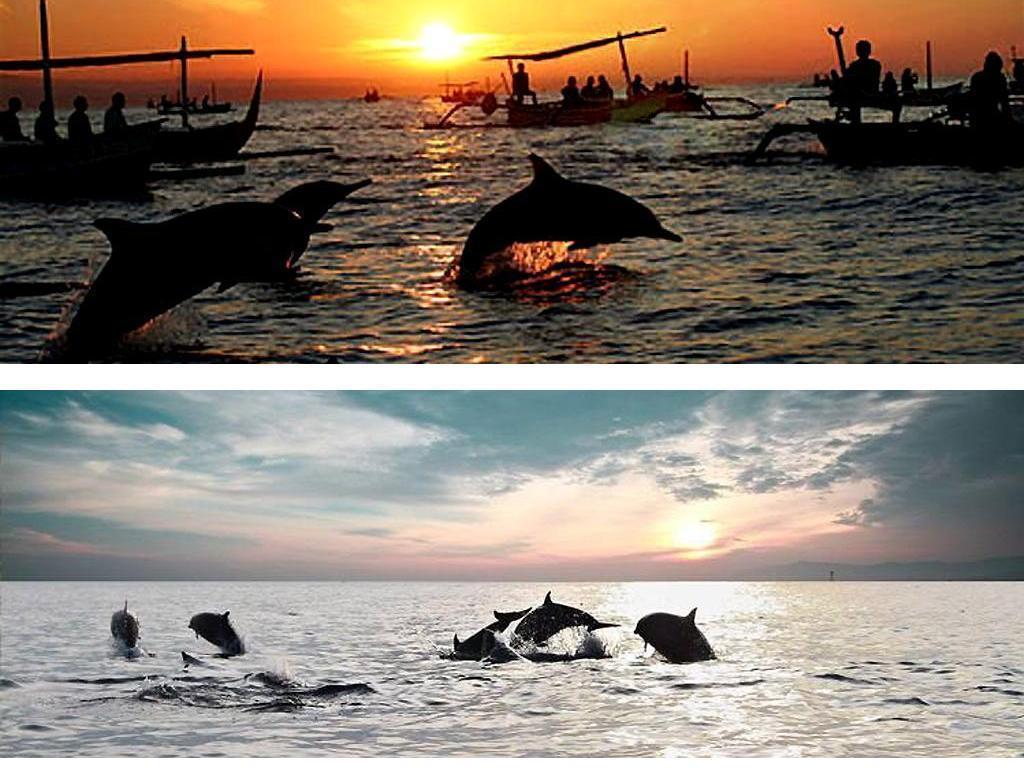 บาหลี พาราไดซ์ โฮเต็ล - บูติค รีสอร์ท โลวินา ภายนอก รูปภาพ